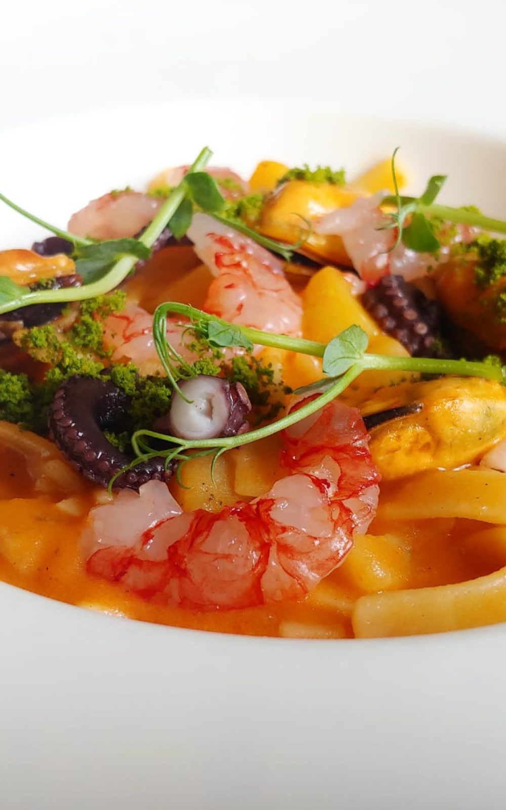 trattoria 6a